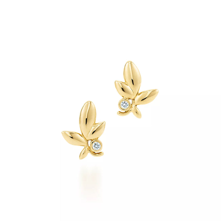 Olive Leaf Küpe